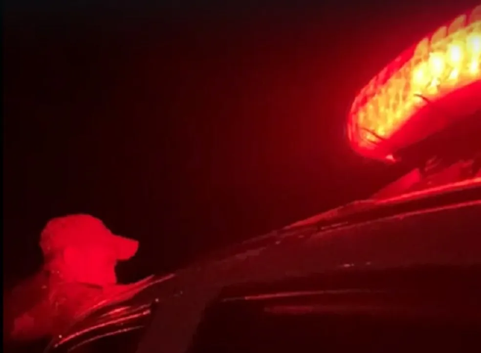Mulher é roubada por motorista de aplicativo e se joga do carro — Foto: Reprodução TV Globo